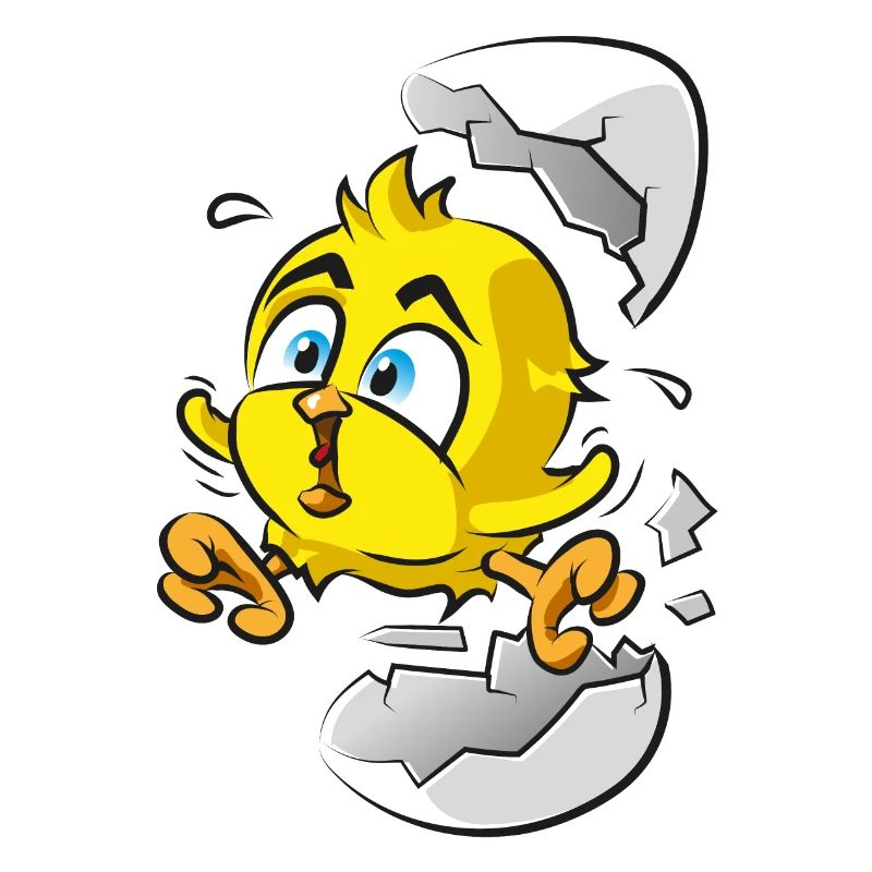 Chicks from the egg