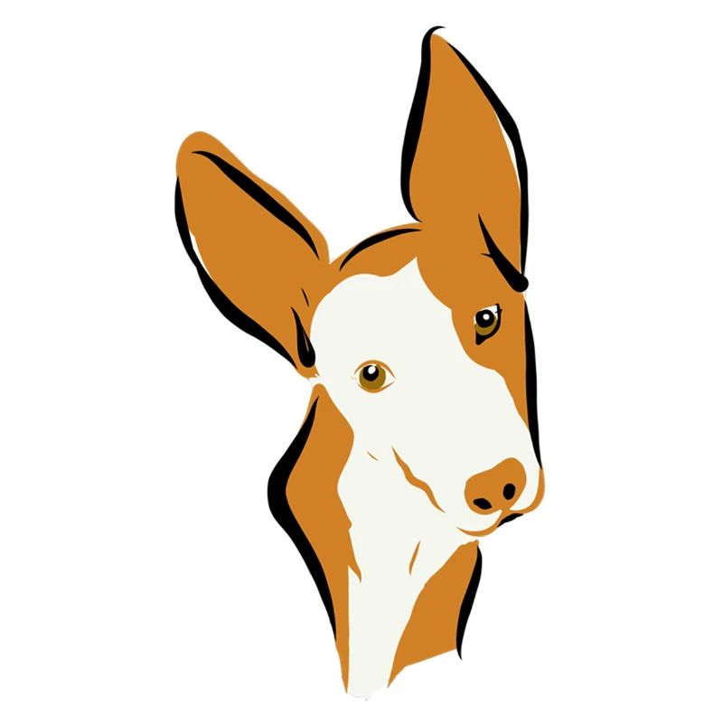 Podi