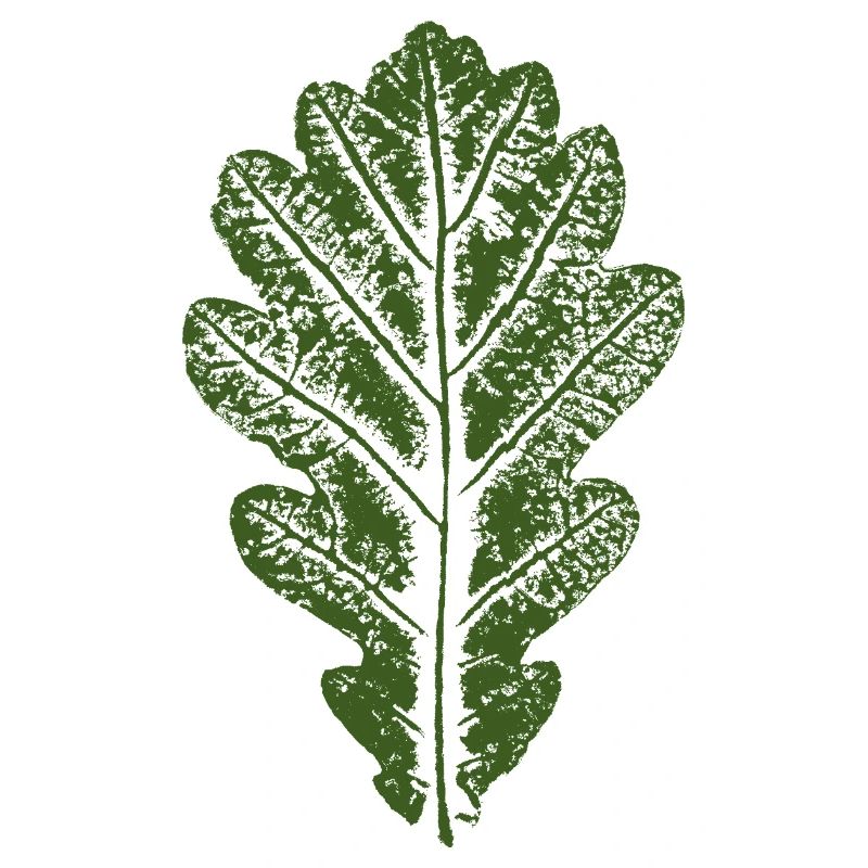 Oak Leaf / Leaves Design