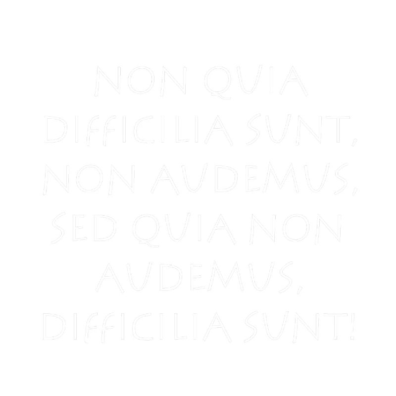 Non quia difficilia sunt non audemus