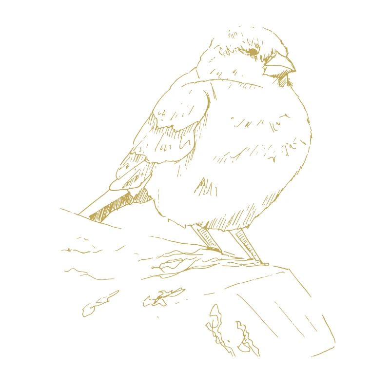 Illustrated designs with a sparrow