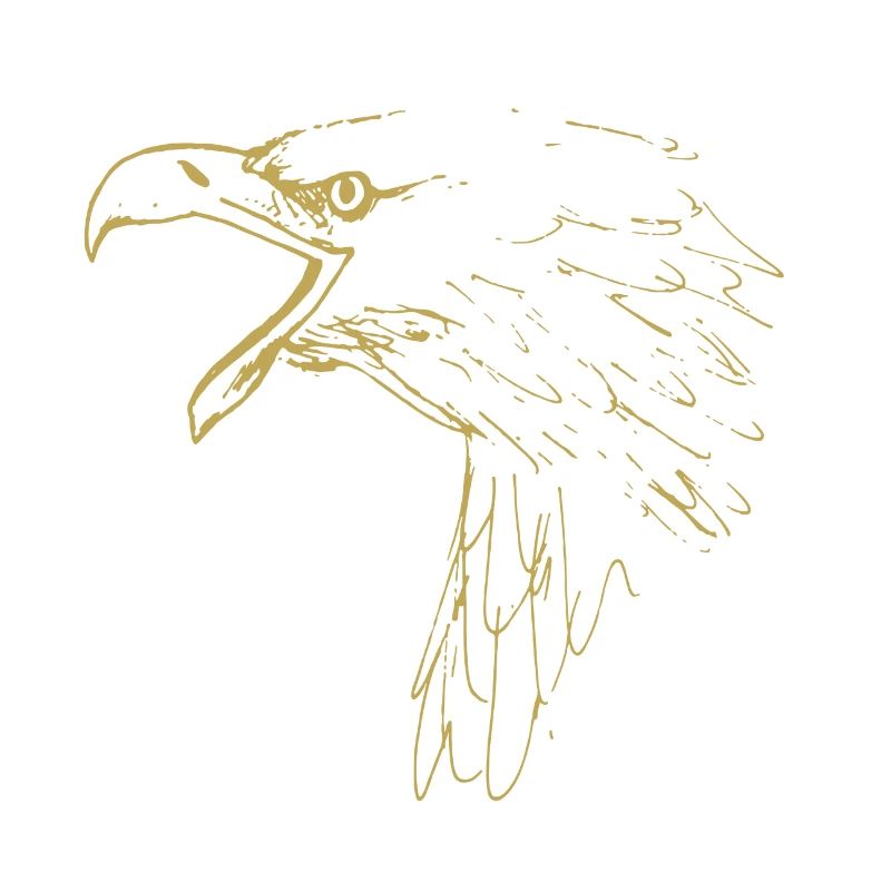 Illustrated designs with eagle