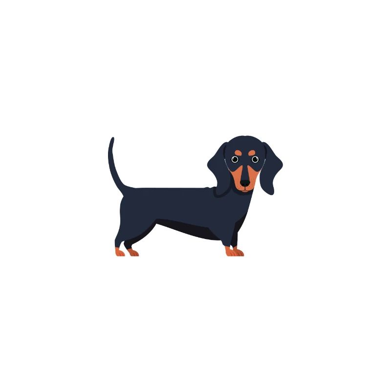 Dachshund Dackel Hund Dog Hundemensch Geschenkidee