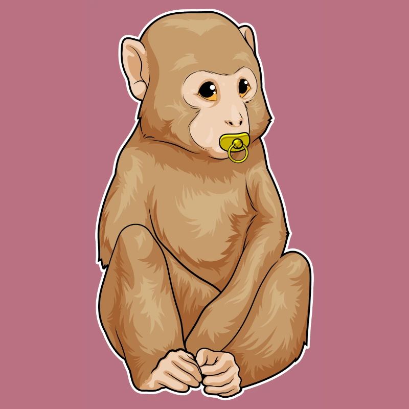 Monkey pacifier