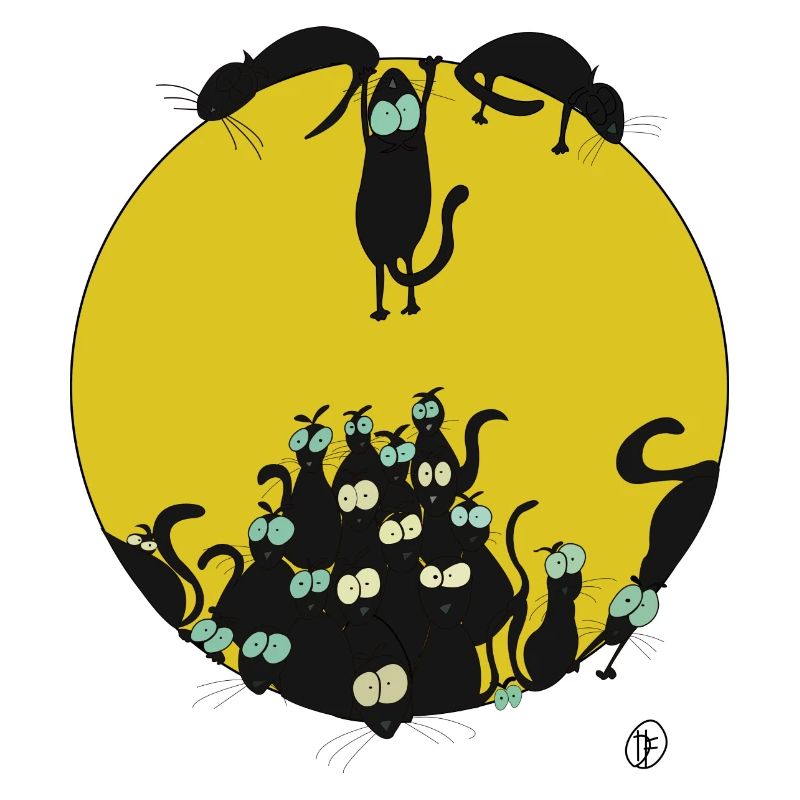 Les chats noirs vous observent