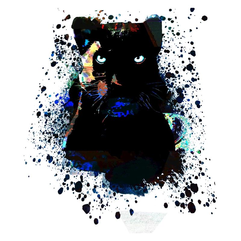 panthère noire, panthère, chat, emo, punk, graffiti