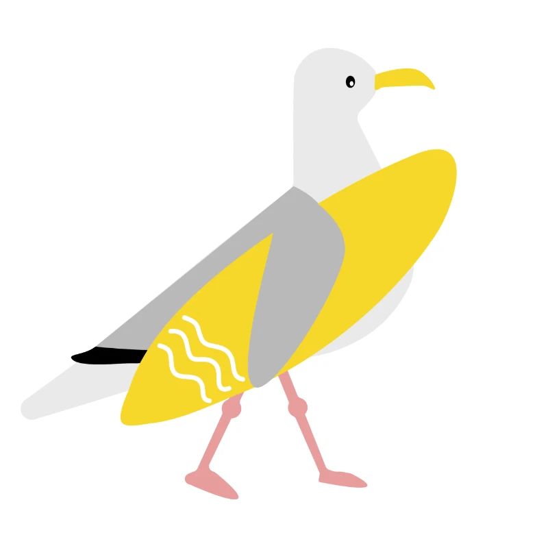 Surfer Mouette