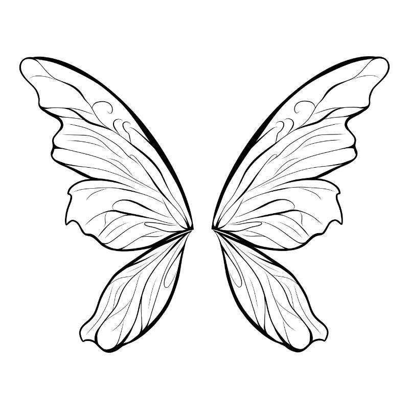 Ailes de fée