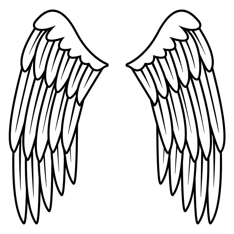 Ange ailes aile ange arrière noir blanc