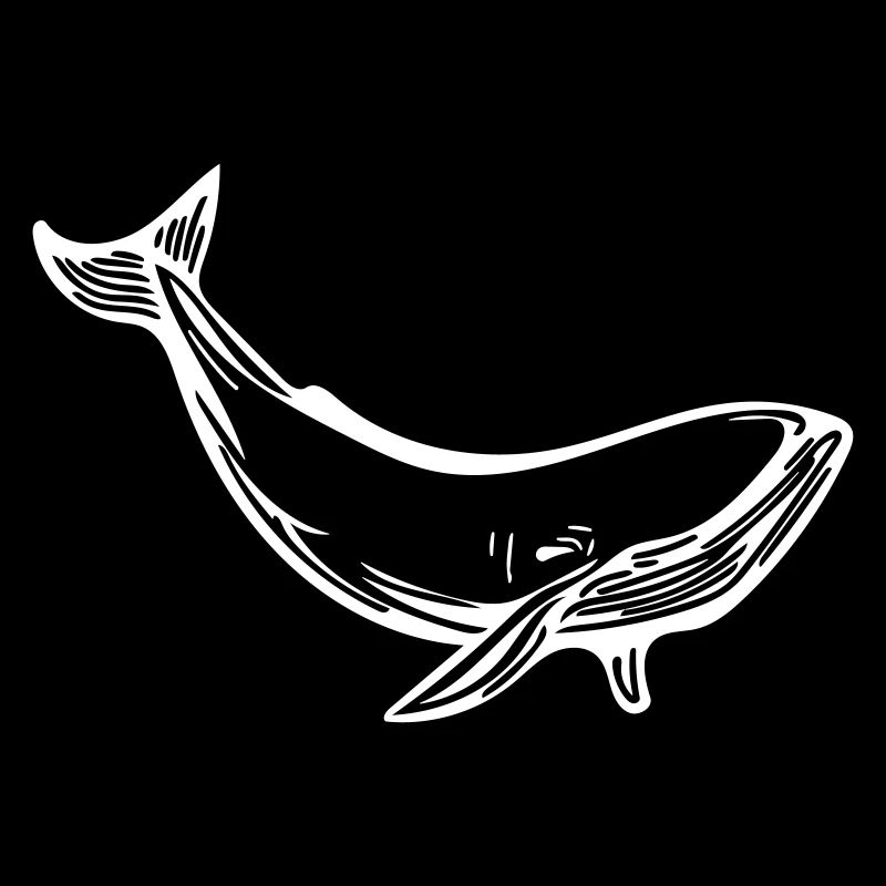 baleine