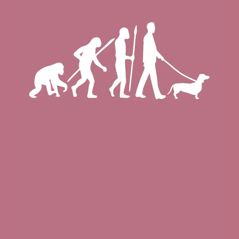 Teckel Evolution