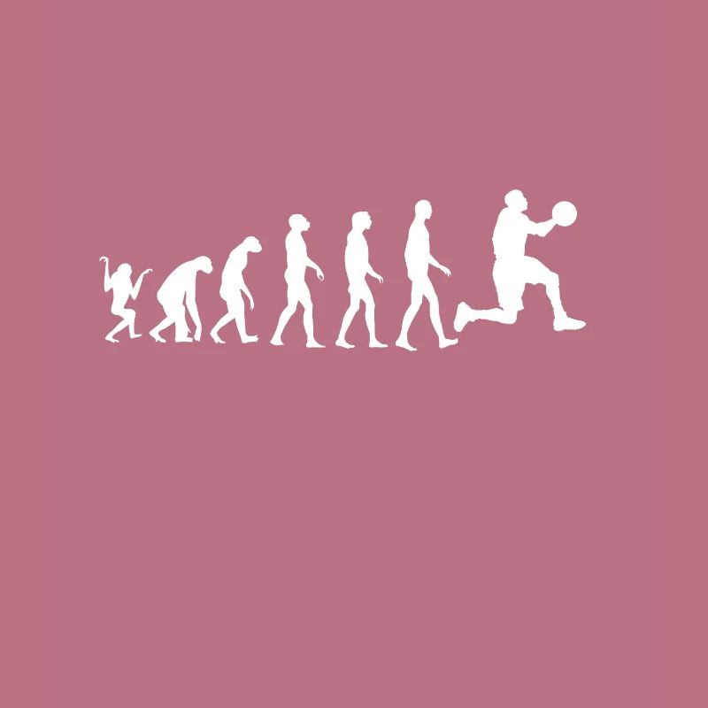 Evolution du basket