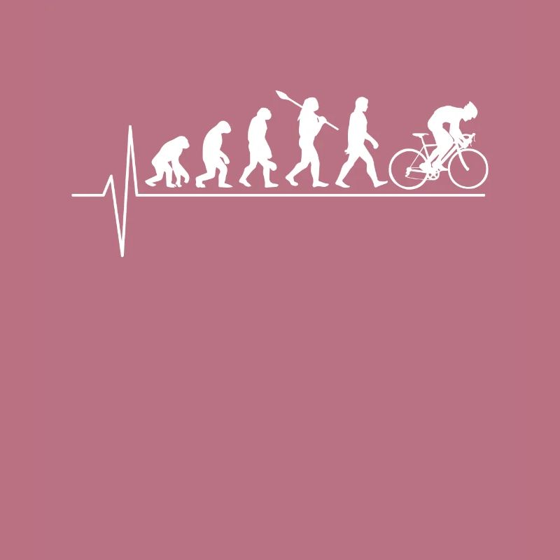 Bicycle evolution