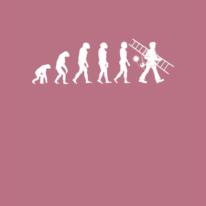 Ramoneur Evolution Cheminée Cheminée