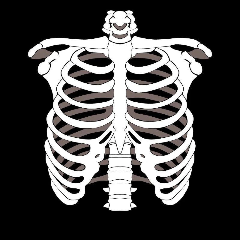 Skeleton skeleton Halloween bone skeleton skeleton