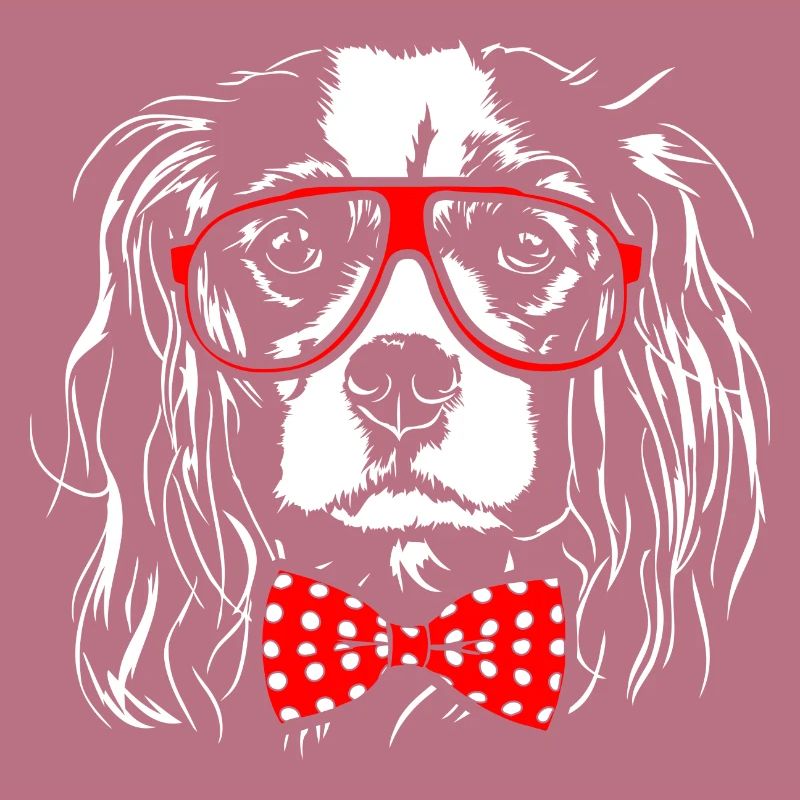 CAVALIER KING CHARLES SPANIEL Junge Wilsigns Hunde