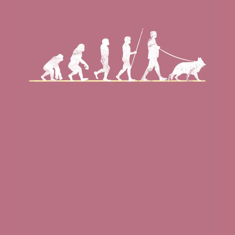Chien de berger allemand Evolution