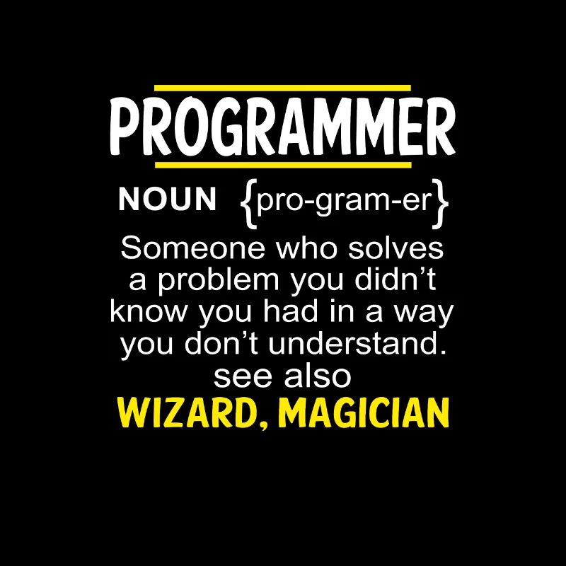 Funny Developer Coder IT Programmer Gift