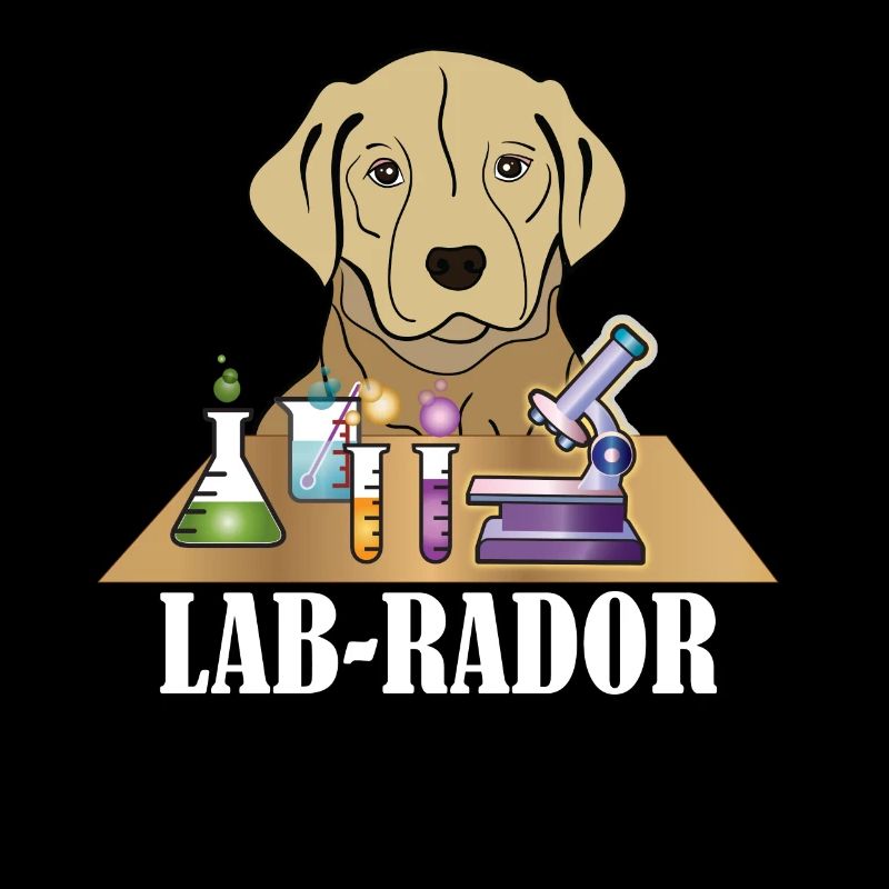 Jeu de mots Labrador