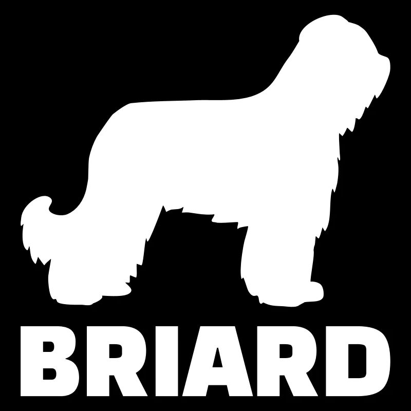 Briard
