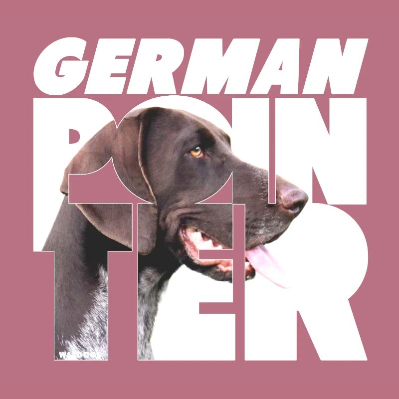 German Pointer VI