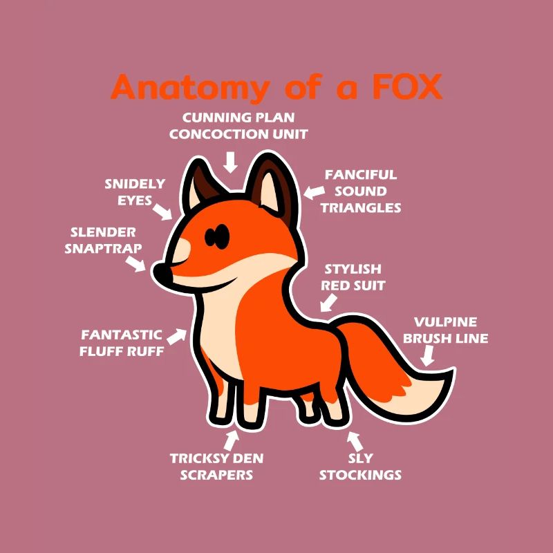 Anatomie eines Fuchs