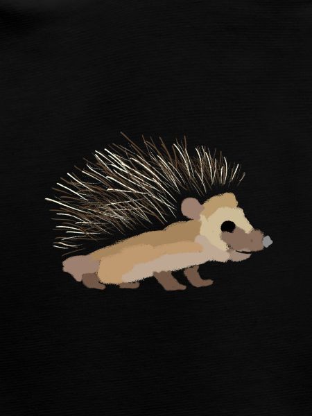 Igel gemalt