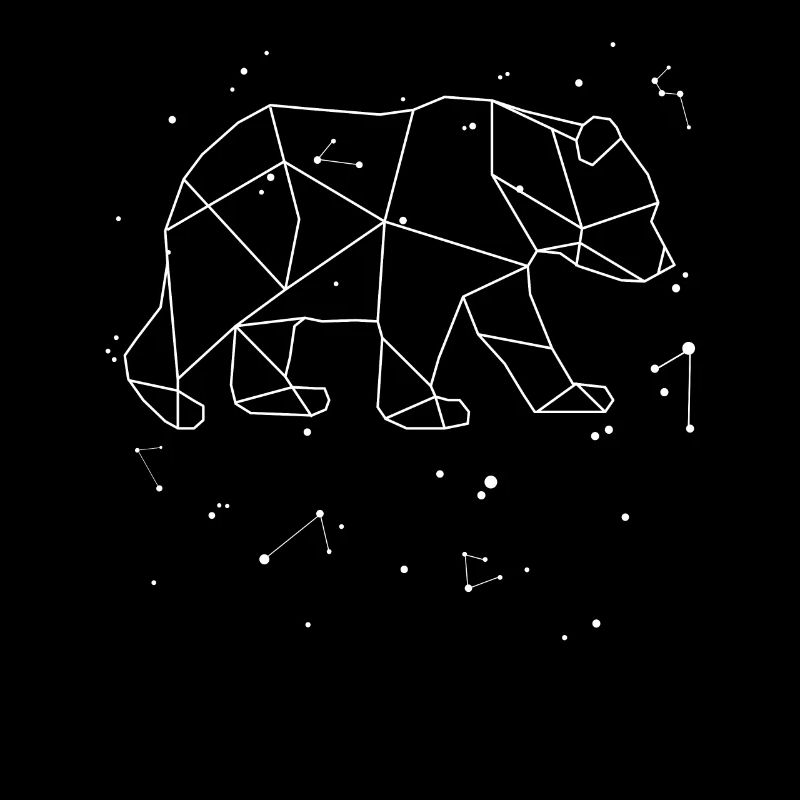 Sternbild Bär Sternzeichen Bären Tierliebhaber