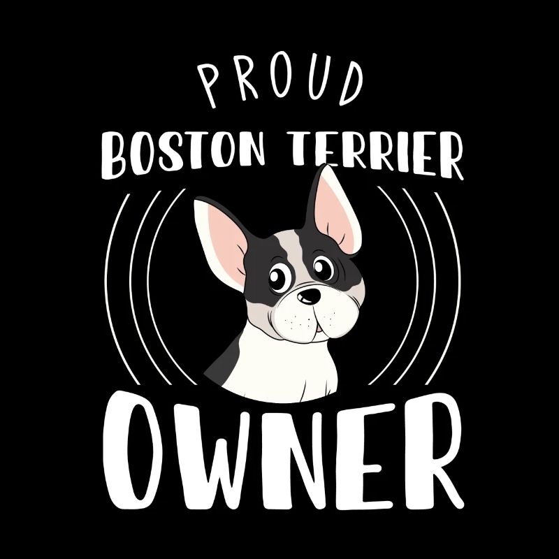 Terriers de Boston, Terriers de Boston, Terriers de Boston