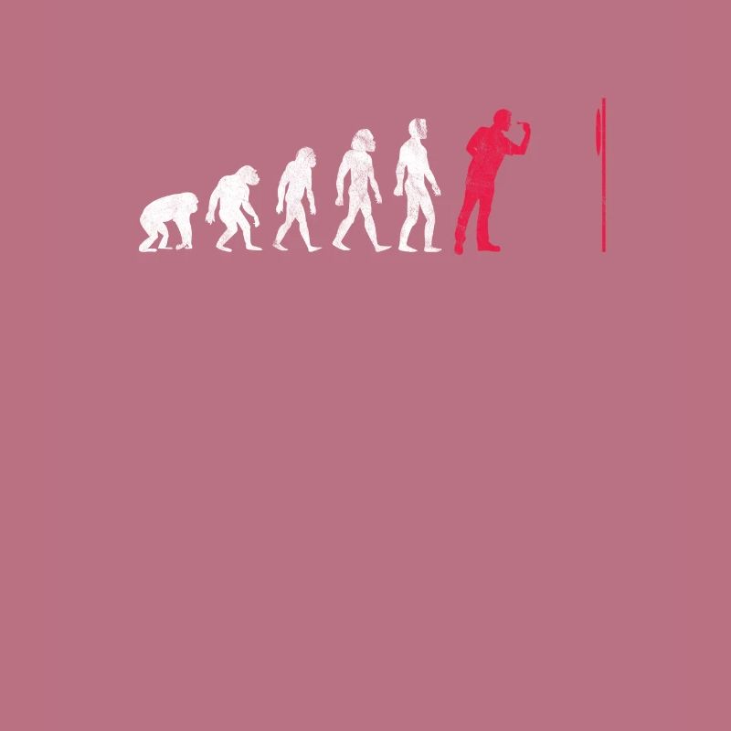 Darts Evolution Darts Evolution Cadeau Bullseye