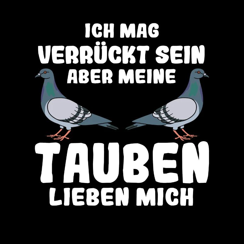Taube Tauben Vogel