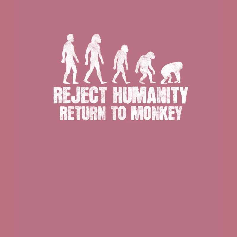 Affe Evolution