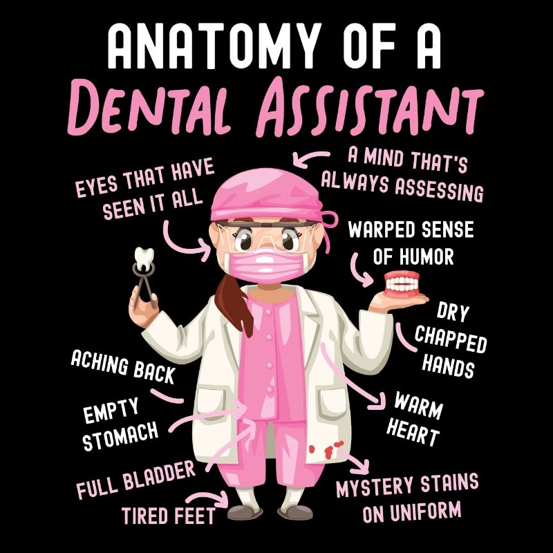 Assistant dentaire Anatomie Anatomie