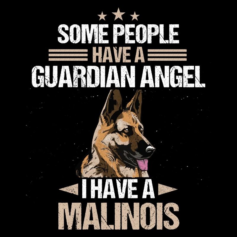 Malinois Hund