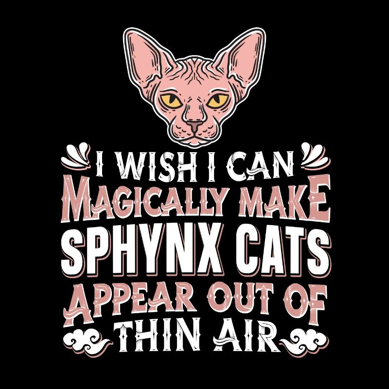 Sphynx Chat
