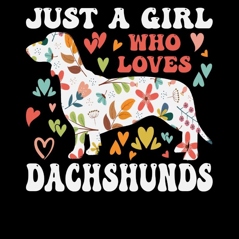 Dachshund Rough-haired Dachshund