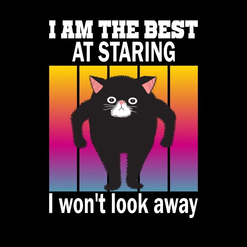 Starrende Katze - Katzen Starren