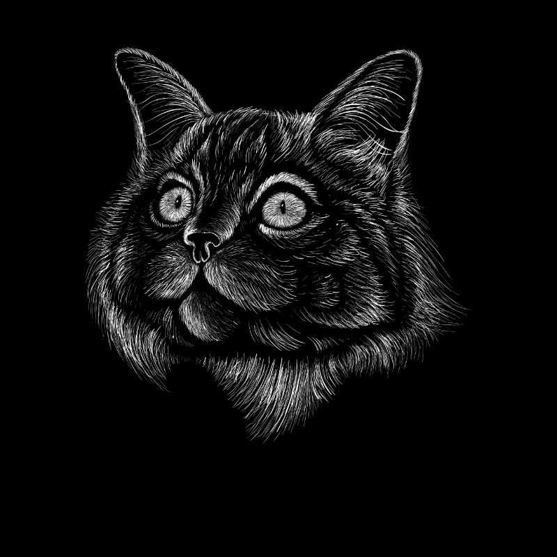 Trait de chat Lignes de dessin réalistes