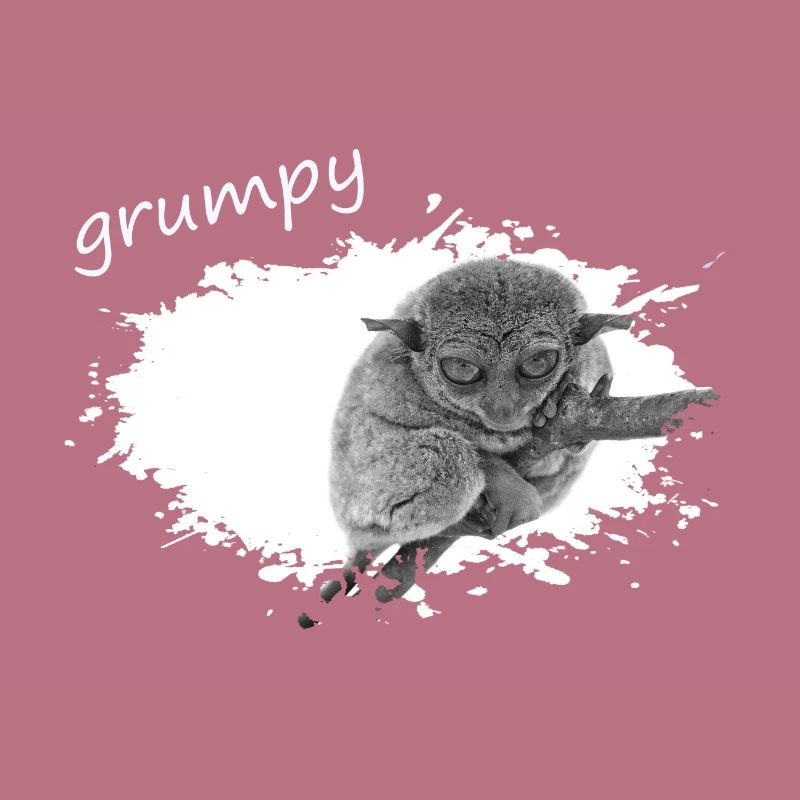 grumpy monkey Tarsier Maki