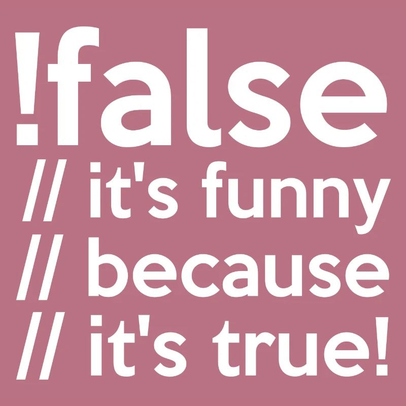 Programmierer false true Informatiker Student Code