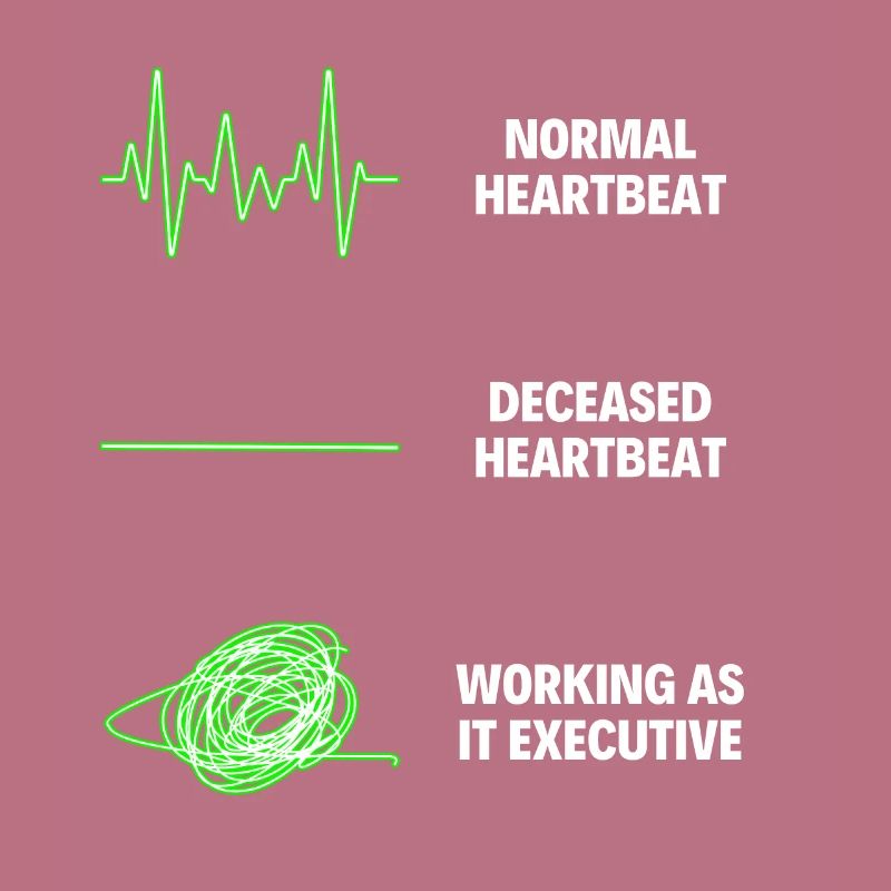 IT Executive Worker IT Computer