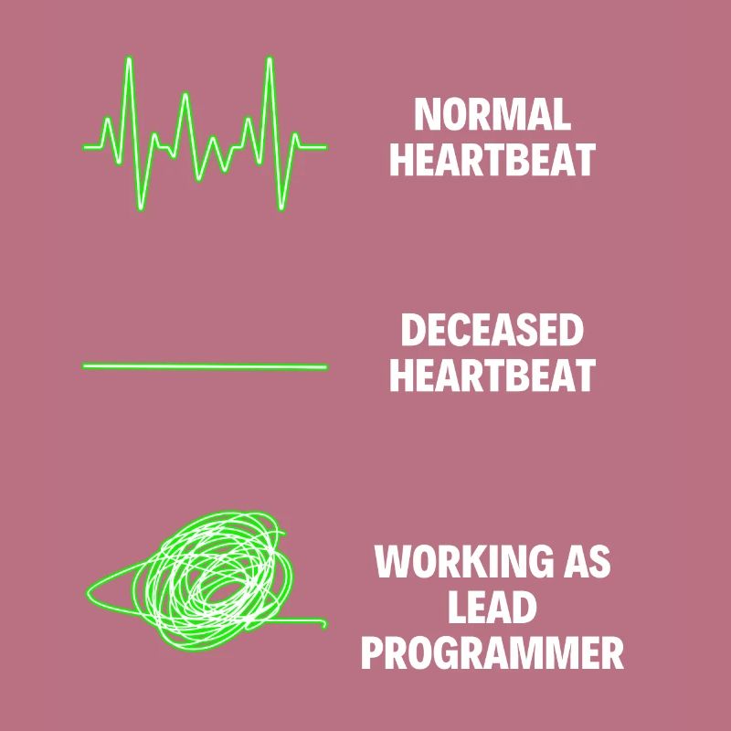 Lead Programmer Worker Funny Programmer