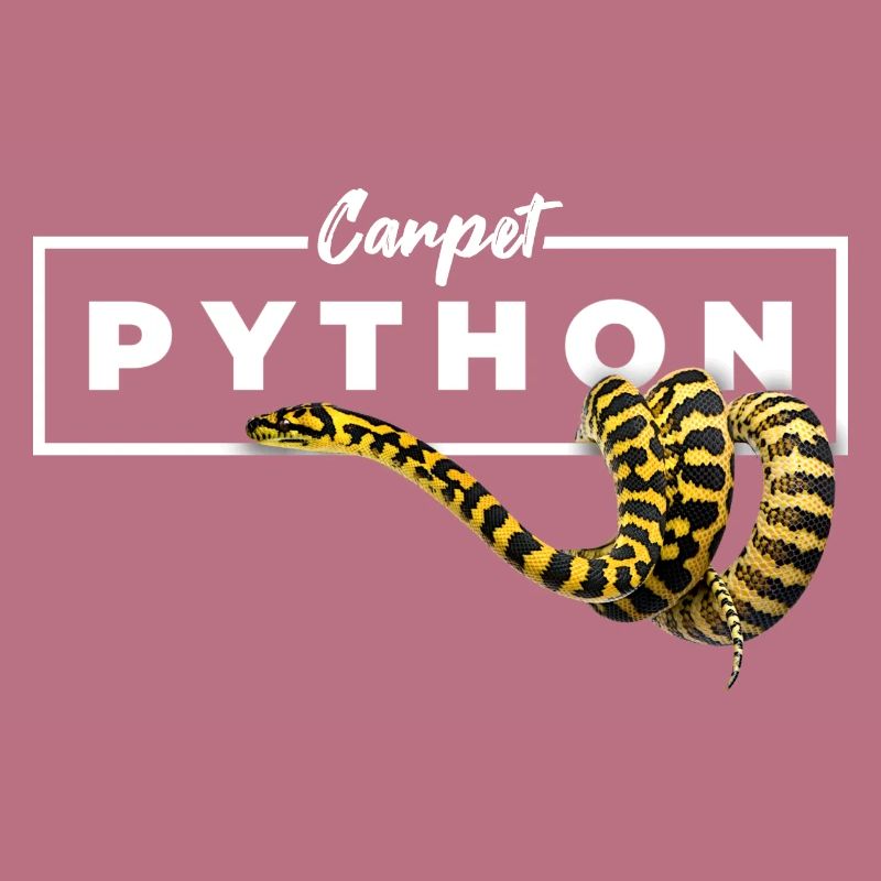 Tapis Python Geometric Reptile Owner