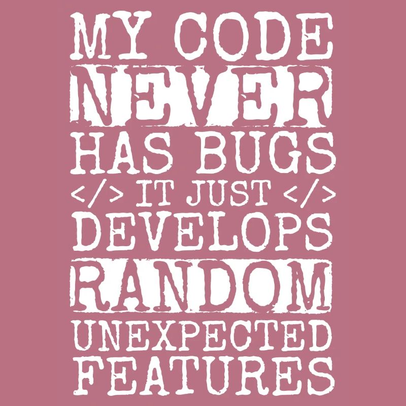 Software Ingenieur Informatiker Programmierer