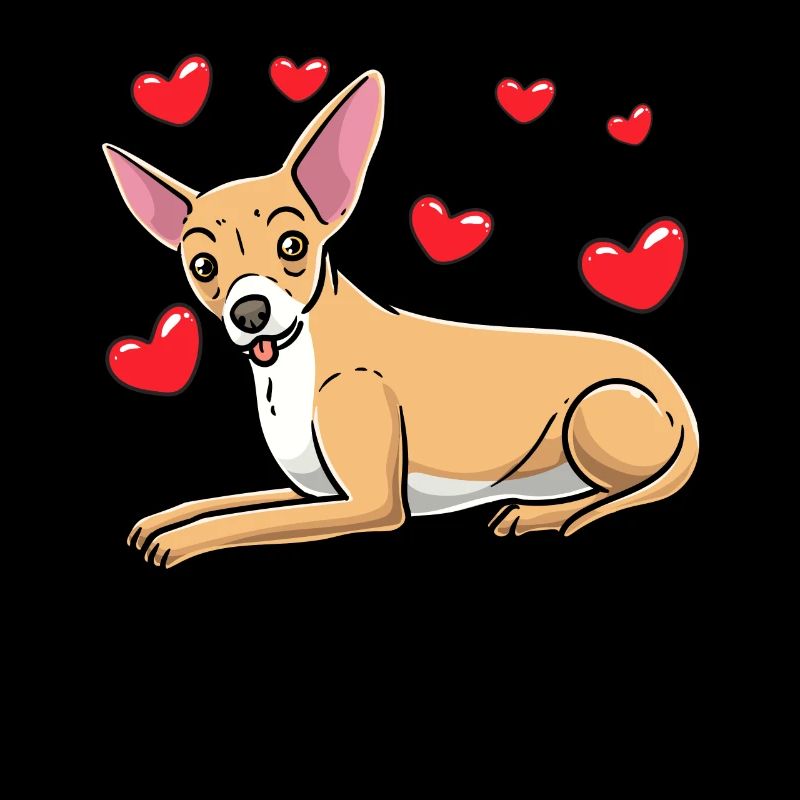 Chiweenie Dog