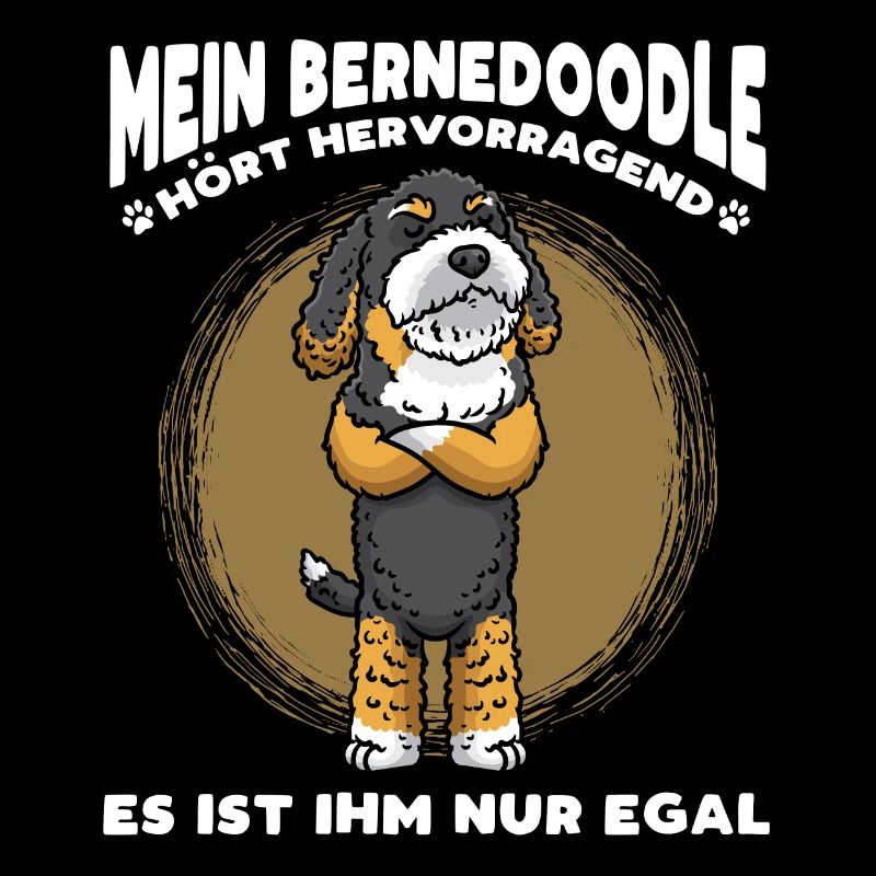 Stur Bernedoodle Hund
