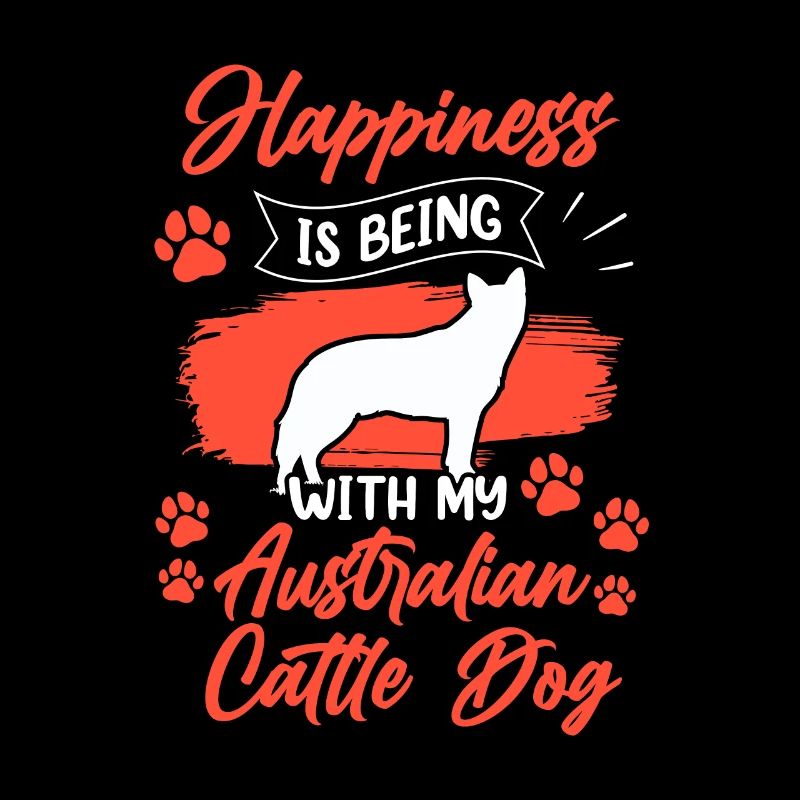 Australian Cattle Dog makes happy herding dog