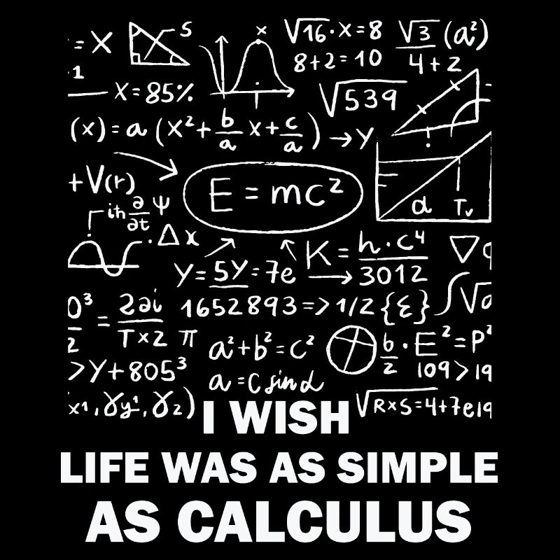 Funny Math Quote Math Teacher Math Sayings