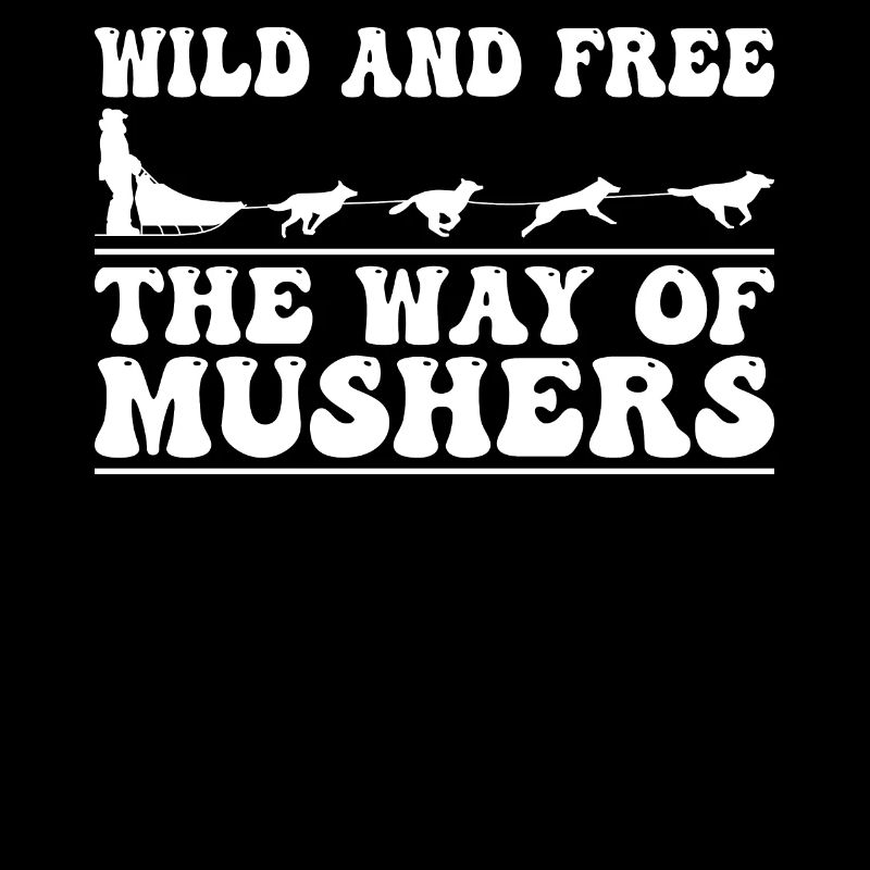 Alaska Mushing Dog Mushers Huskies