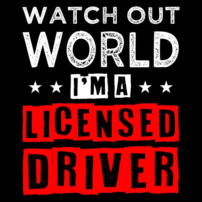 New driving licence